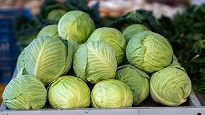 MAA Cabbage Seed(280 per packet)