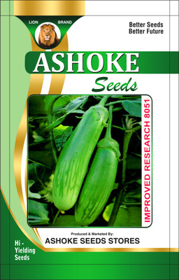 ASHOKE Seeds Brinjal Seeds Brinjal Seeds Brinjal Seeds Deshi Brinjal Seed(150 per packet)