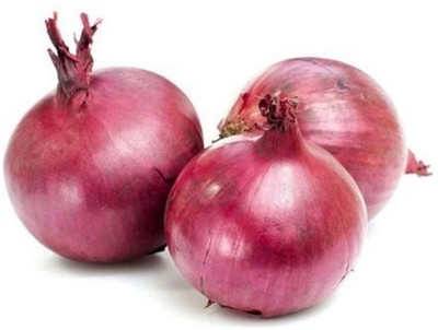 Quentova Nasik Onion-VXI-8G Seed(250 per packet)