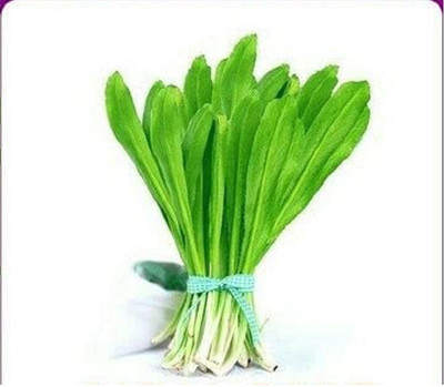 CYBEXIS VXI-36 - Sawtooth Mexican Coriander - (2250 Seeds) Seed(2250 per packet)