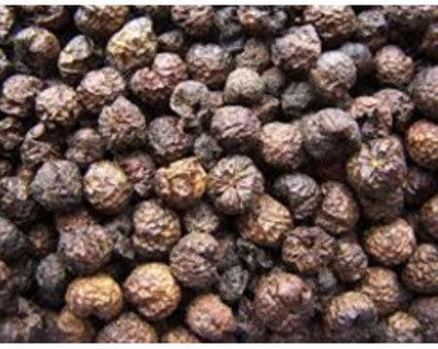 ANDARISTORE sundakkai Vathal Seed(250 per packet)