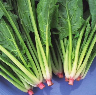 KNESSiN VIC-8 Pointed Leaves Spinach Seed(200 per packet)