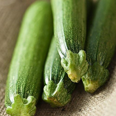 Qualtivate PUA-3A Squash (Organic) - Fordhook Zucchini Seed(30 per packet)