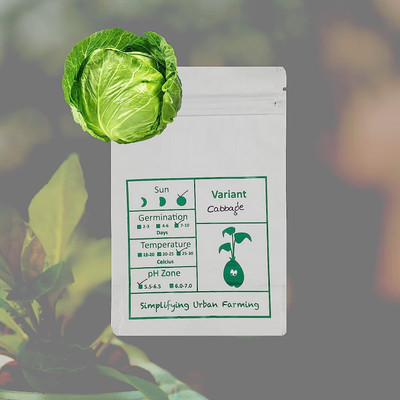WILLVINE ROX -XII F1 Hybrid Kaveri Cabbage Seeds [50g] Seed(15000 per packet)