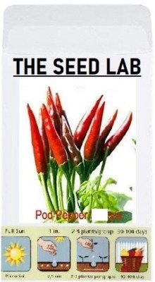 KNESSiN Red Chilli Seed(500 per packet)