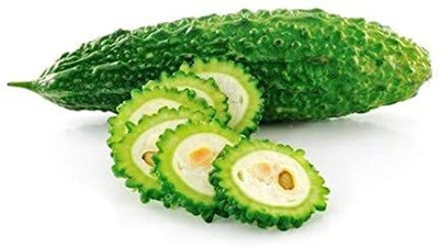 the green dotcom BitterGourd/Karela F58 Seed(80 per packet)