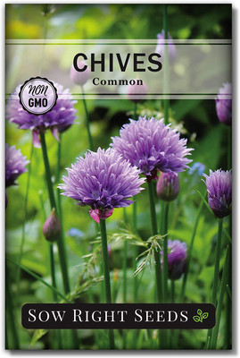 VibeX ATS-84 - Chives - (750 Seeds) Seed(750 per packet)
