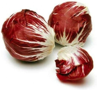 CYBEXIS High Yield Red Cabbage Seeds500 Seeds Seed(500 per packet)