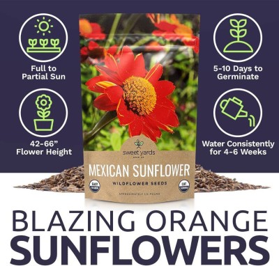 CYBEXIS NBIR-76 - Mexican Sunflower - (150 Seeds) Seed(150 per packet)