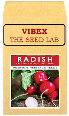 CYBEXIS Radish Red Round Hybrid Seeds2400 Seeds Seed(2400 per packet)