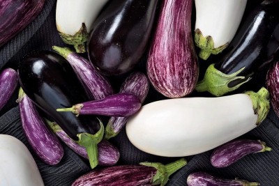 Qualtivate HYB-1A Eggplant Aubergine Long Mix Brinjal Seed(300 per packet)