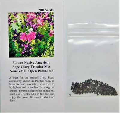 CYBEXIS ATS-84 - Native American Sage Clary Tricolox - (1350 Seeds) Seed(1350 per packet)