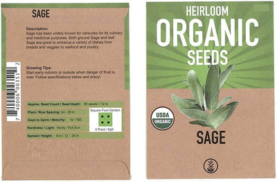 VibeX XL-63 - Culinary Sage - (1350 Seeds) Seed(1350 per packet)