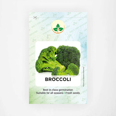 CYBEXIS VVI-4 - Blue Wonder Broccoli - (1350 Seeds) Seed(1350 per packet)