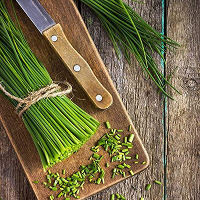 CYBEXIS Rare Garlic chives Seeds2800 Seeds Seed(2800 per packet)