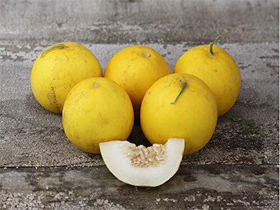 Qualtivate HUA-8A Muskmelon/Yellow Melon Seeds Seed(200 per packet)