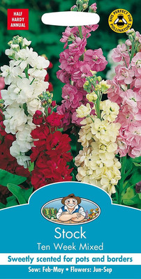 LPR STOCK Seed(20 per packet)