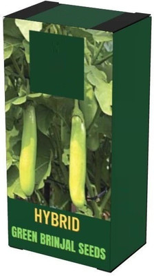 WILLVINE LX-66 BRINJAL GREEN LONG/ LAMBE BENGAN SEEDS Seed(200 per packet)