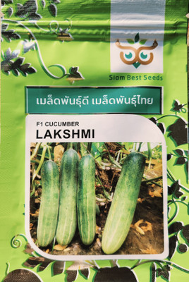 HYBRID 10g F1 Lakshmi cucumber seeds highest yield (Desi hybrid) Seed(1 per packet)