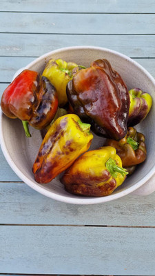 Biosnyg Hybrid Blot Sweet Pepper Vegetable Seeds For Gardening-(2000 Seeds) Seed(2000 per packet)