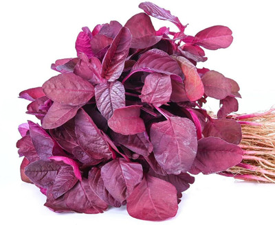 Aywal Farmer Hybrid Spinach Red(Amaranthus) Lal Saag Cheera Seed(750 per packet)