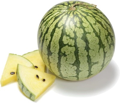 Qualtivate XXX-7A PETITE YELLOW WATERMELON - Citrullus Ianatus Seed(100 per packet)