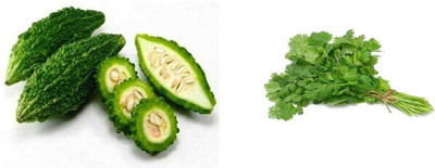 Aywal Coriander and Bitter Gourd Seed(50 per packet)