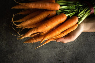 CYBEXIS Zeno Carrot Variety 4000 Seeds Seed(4000 per packet)