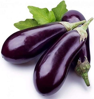 Decon Bengan Seed(700 per packet)