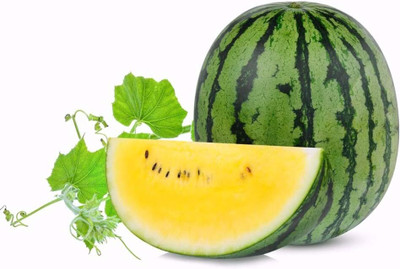 KNESSiN Yellow Watermelon[100 Seeds] Seed(100 per packet)