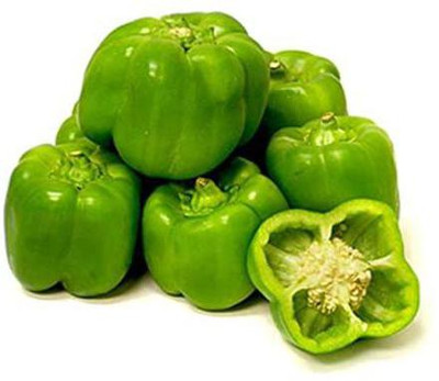 VibeX VXI-36 - Green Capsicum Vegetable - (1350 Seeds) Seed(1350 per packet)