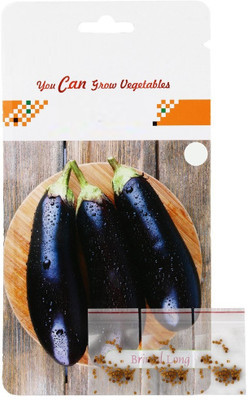 CYBEXIS Brinjal Long Hybrid Seeds600 Seeds Seed(600 per packet)