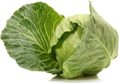 BJUBAS Chinese Cabbage Seeds pack of 24 Seed(24 per packet)