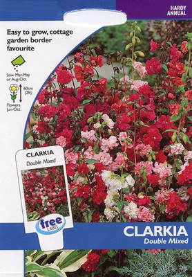 CYBEXIS Flower - Clarkia - Choice Double Mixed Seed(1 g)