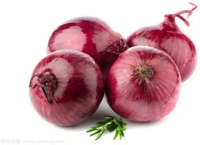 Qualtivate XXX-5A PLUS ONION RED (Nasik Red N-53) Seed(500 per packet)