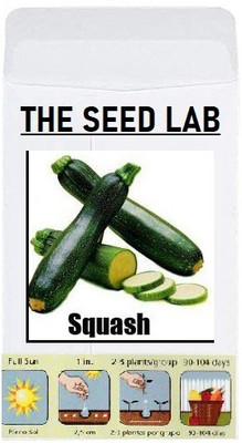 CYBEXIS Organic Vegetable Seeds-Squash/Zucchini400 Seeds Seed(400 per packet)