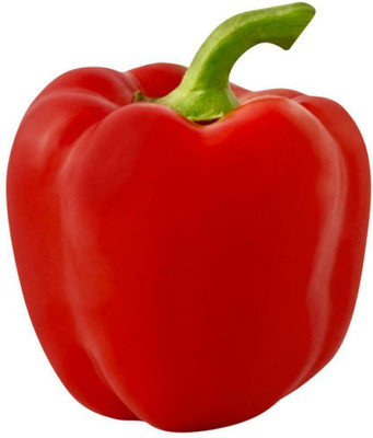 VASUDHA Capsicum Red Organic Seed(800 per packet)