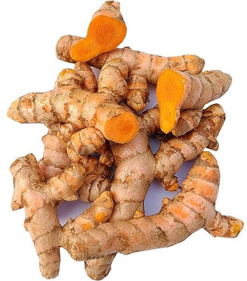 GREENSEA Organic Raw Turmeric, Kacha Haldi Seed(150 g)