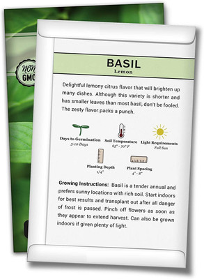 VibeX ® VXI-53 Lemon Basil (Ocimum basillicum citriodorum) Seed(1000 per packet)