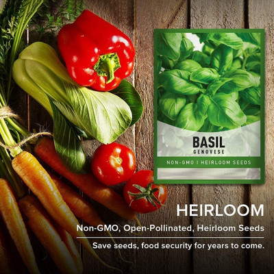 Qualtivate VXI-97 Sweet Basil Genovese Seed(1000 per packet)