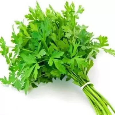 MAA Parsley Seed(45 per packet)