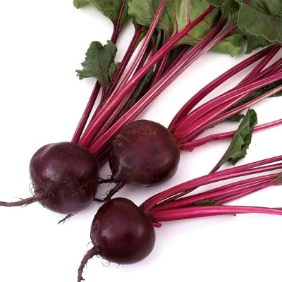 BJUBAS Beetroot F1 Hybrid Seeds For Home Gardening Pack of 126 Seed(126 per packet)