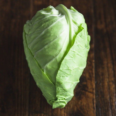 CYBEXIS Pointed cabbage2000 Seeds Seed(2000 per packet)
