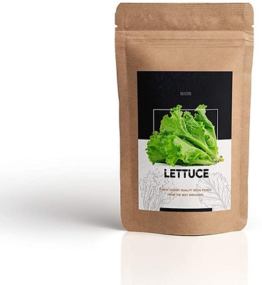 WILLVINE Lettuce Hybrid Seeds-(400 Seeds) Seed(400 per packet)
