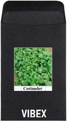 CYBEXIS Heirloom Vegetable Seeds-Coriander2800 Seeds Seed(2800 per packet)