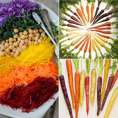 CYBEXIS High Yield Rainbow Carrot Seed1000 Seeds Seed(1000 per packet)