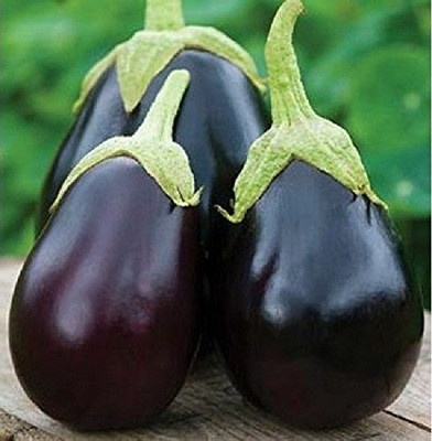 ACCELCROP Brinjal Seed(25 per packet)