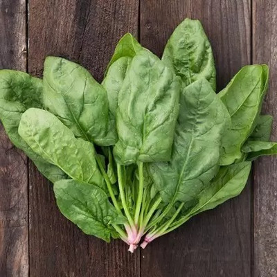 MAA Spinach, Palak Seed(50 per packet)