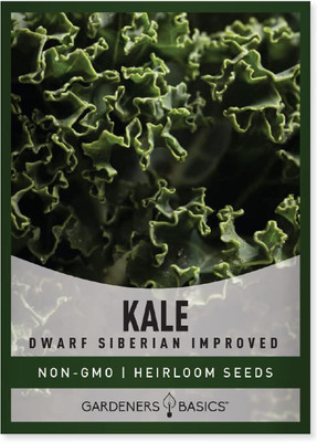 WILLVINE ROX -IV Dwarf Siberian Improved Kale [2.5g] Seed(750 per packet)