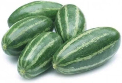 Pbevergreen pointed gourd roots/pointed gourd seeds 24 Seed(24 per packet)